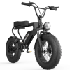EMB003 Off Road Mountain Electric Bike 20'' Fat tires 1200W Powerful Motor (2 version;  orange seat or black seat ; Random delivery)