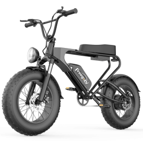 EMB003 Off Road Mountain Electric Bike 20'' Fat tires 1200W Powerful Motor (2 version;  orange seat or black seat ; Random delivery)