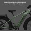 AOSTIRMOTOR new pattern 26" 1000W Electric Bike Fat Tire 52V30AH Removable Lithium Battery for Adults