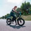 EMB003 Off Road Mountain Electric Bike 20'' Fat tires 1200W Powerful Motor (2 version;  orange seat or black seat ; Random delivery)