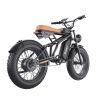 EMB001 Fat Tires Off Road Electric Bike  1200W Powerful Motor