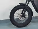 Electric Bicycle 1000W 48v 15AH 70KM 20 Inch Wide Tire Electric Bicycle Double Shock Absorption Double Disc Brake C91 Off-Road Electric Mountain Bike