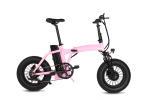 Dual-Drive Fat Tire E-bike Pro