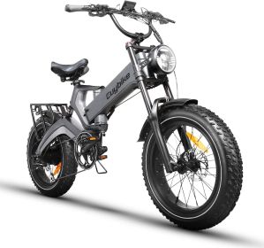 EUY Electric Bike for Adults 1000W Motor 48V 25Ah Removable Samsung Cells Battery 30MPH 40-60Miles 20"x4.0 Fat Tire Ebike Snow Beach Mountain Bike wit (Color: Grey&K6F&25AH)