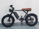 Electric Bicycle 1000W 48v 15AH 70KM 20 Inch Wide Tire Electric Bicycle Double Shock Absorption Double Disc Brake C91 Off-Road Electric Mountain Bike