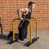 ProsourceFit Dip Station, Yellow