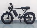 Electric Bicycle 1000W 48v 15AH 70KM 20 Inch Wide Tire Electric Bicycle Double Shock Absorption Double Disc Brake C91 Off-Road Electric Mountain Bike