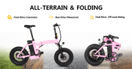 Dual-Drive Fat Tire E-bike Pro