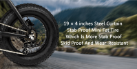 Dual-Drive Fat Tire E-bike Pro