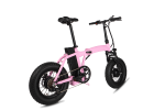 Dual-Drive Fat Tire E-bike Pro