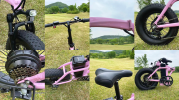 Dual-Drive Fat Tire E-bike Pro