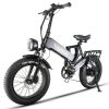 EUY Electric Bike for Adults 1000W Motor 48V 25Ah Removable Samsung Cells Battery 30MPH 40-60Miles 20"x4.0 Fat Tire Ebike Snow Beach Mountain Bike wit