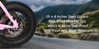Dual-Drive Fat Tire E-bike Pro