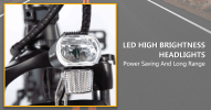 Dual-Drive Fat Tire E-bike Pro