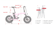 Dual-Drive Fat Tire E-bike Pro